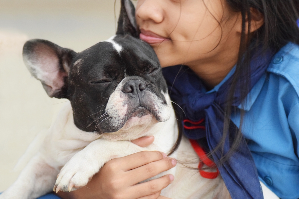 A happy woman hugs her French Bulldog, her favorite dog breed. 