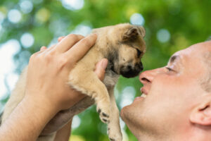 8 Best Dog Breeds for Dads This Father’s Day