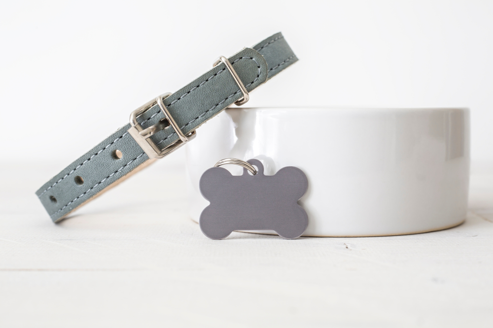 A gray ID tag and collar laying next to a white dog bowl. 