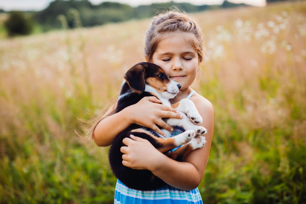 A cute little girl hugs a Beagle puppy while standing in a sunny meadow.