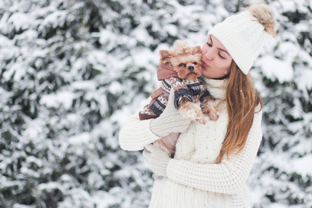A lovely woman stands outside with her Yorkshire Terrier, hugging her dog in the snowy outdoors to show that dogs enjoy the snow.
