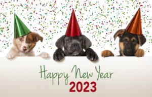Kick Off the New Year with a New Puppy