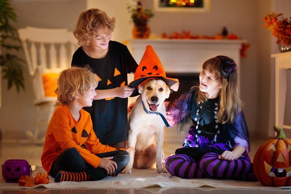 Three children dressed in Halloween clothes place an orange pumpkin hat on their yellow Labrador Retriever puppy.