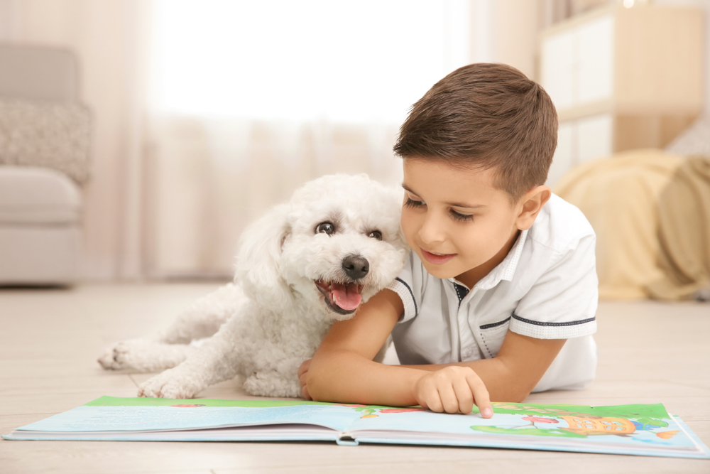 A young boy lays on the floor of his bedroom with his Bichon Frise dog, and together they look at a children's book.