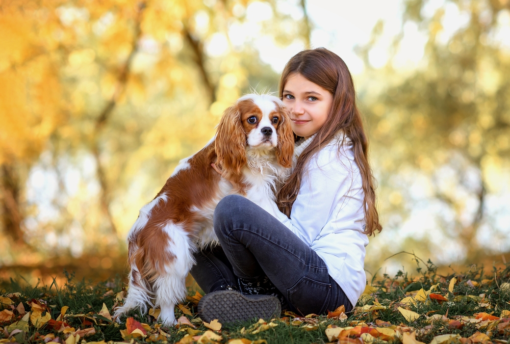 A tween girl sits outside with her Cavalier King Charles Spaniel purebred dog, which is one of the best dog breeds for children.