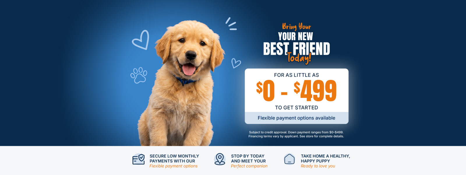 Cavachon Banner