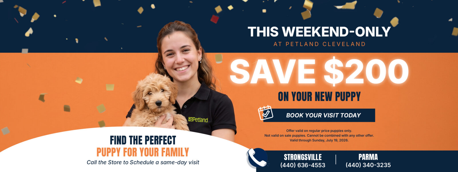 Havanese Banner